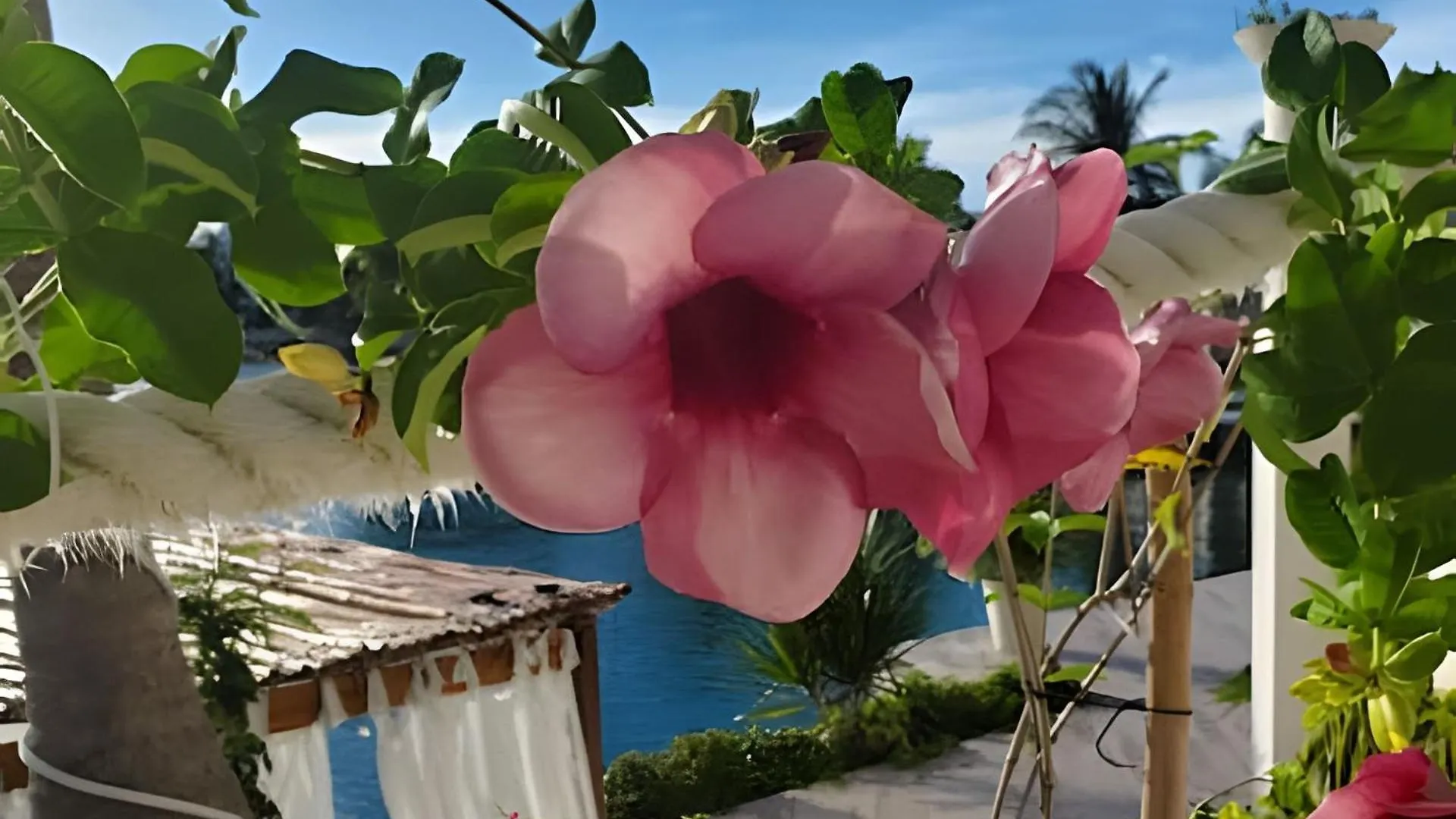 Casa La Torre, Luxury Private Oceanfront Villa Puerto Aventuras 0*,